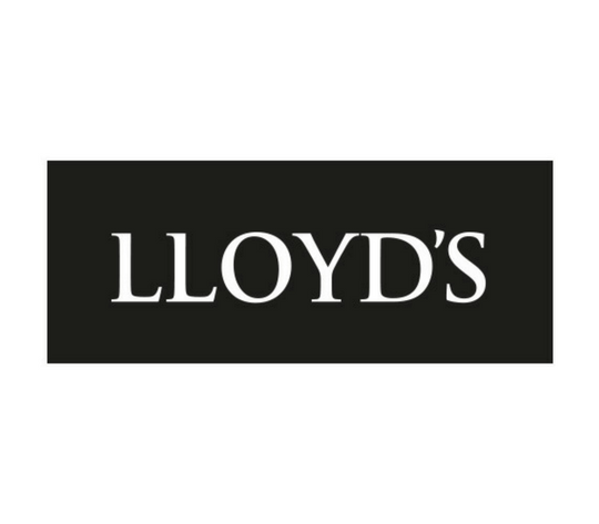 Lloyd's– (opens in a new window)